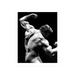 Arnold Schwarzenegger Flexing - Unframed Photograph Paper in Black/Gray/White Globe Photos Entertainment & Media | 10 H x 8 W in | Wayfair