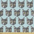 Cat Fabric by the Yard Pet Kitten Portraits Graphic Kitty Faces Animal Cartoon Funny Whiskers Meow Decorative Upholstery Fabric for Chairs & Home Accents Pale Blue and Grey by Ambesonne