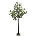 Plow & Hearth Large Lighted Eucalyptus Tree with 136 Lights