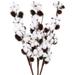 3Pcs Natural Cotton Flowers 6 Heads Natural Dried Flower Bouquet Deco White 72Cm Dried Cotton Branch With Pine Cones For Balcony Wedding Table Flower Arrangement