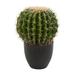 Nearly Natural 14 Plastic Cactus Artificial Plant Green