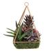 Northlight 9 Succulent Artificial Arrangement in Copper Wire Terrarium - Green/Brown