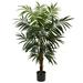 4.5â€™ Bulb Areca Tree