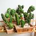 Ludlz Artificial Succulent Plants Artificial Cacti Arrangement Mini Fake Cactus for Home Decor and Office Decoration 1Pc Foam Artificial Cactus Succulent Plant Bonsai Office Desk Home Party Decor