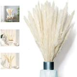 Pampas Grass Naturally Dried Pampas Grass Deco Pampas Grass Phragmites Communis Dried Flowers Bouquet Decoration for Living Room Home Photography Hotel Wedding White
