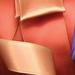 The Ribbon People Peach Pink Two-Tone Double Face Wired Craft Ribbon 1.5 x 27 Yards