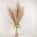 BalsaCircle 3 Taupe 44 Stems Silk Pampas Grass Artificial Plant Sprays Wedding Centerpieces Home