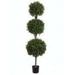 LPB276-GR-TT 6 ft. Tri Ball Boxwood Top Two Tone Green- Case of 1