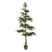 6 ft. Potted Cedar Tree 390-Leaves