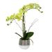 Vickerman 19.5 Artificial Green Phalaenopsis In Metal Pot.