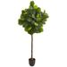 6 Fiddle Leaf Artificial Tree (Real Touch)