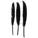 4 Duck Quill - 24 Pack - Black