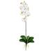 Nearly Natural Phalaenopsis Stem Artificial Flowers (Set of 6) Beige