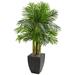 Nearly Natural 60 Kentia Palm Artificial Tree in Black Planter