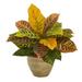 Nearly Natural Orange 15 H Garden Croton Artificial Plant in Ceramic Planter (Real Touch)