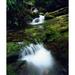 Tennessee Stream in The Great Smoky Mts by Christopher Talbot Frank (24 x 36)
