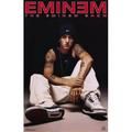 Pop Culture Graphics MOV254455 Eminem - The Eminem Show Movie Poster 11 x 17