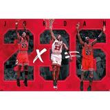 Michael Jordan - Six Wall Poster 22.375 x 34