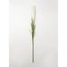 Sullivans Artificial Pampas Grass Stem 53.5 H Green