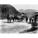 New Zealand: Coach C1900. /Npassenger Coach At Owen Junction Waimea County On The West Cost Of New Zealand C1900. Poster Print by (24 x 36)
