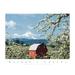 Red Barn and Apple Blossoms Poster Print by Unknown Unknown (24 x 18) # F101544