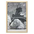 Black and White Wall Art with Frame Eiffel Tower with Blossoming Trees Historical Paris Famous Landmark France Printed Fabric Poster for Bathroom Living Room 23 x 35 Blue Grey by Ambesonne