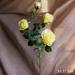 Faux Silk Artificial Flower Silk 4 Rose Bloom Stem in Yellow 31 Tall