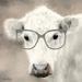 See Clearly Cow Poster Print by Lori Deiter