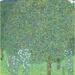 Klimt: Rosebushes C1905. /N Rosebushes Under The Trees. Oil On Canvas Gustav Klimt C1905. Poster Print by (18 x 24)