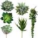 Winlyn 6 Pcs Unpotted Fake Succulents Assorted Faux Succulent in Different Green Artificial Hanging Succulents Textured Faux Succulent Pick Hanging String of Pearls Plant for Wedding Cente