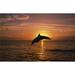 Posterazzi Silhouette of Leaping Bottlenose Dolphin Sunset Caribbean Sea Poster Print by Natural Selection Craig Tuttle