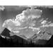 Trees in Glacier National Park Montana - National Parks and Monuments 1941 Poster Print by Ansel Adams (22 x 28)