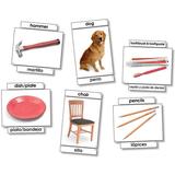 NST9008 - Basic Vocabulary Language Cards 31/pkg by North Star Teacher Resource