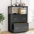 Tribesigns 2 Drawers Lateral File Cabinet Black Printer Stand with Shelf for Home Office