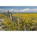 Wildflowers Surround Rustic Barb Wire Fence In The Plains Of Northwestern New Mexico; New Mexico United States Of America Poster Print (38 x 24)