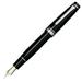 Sailor Fountain Pen Fountain Pen Professional Gear Silver Zoom 11-2037-720