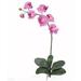 Nearly Natural 2044-MA Phalaenopsis Silk Orchid Flower with Leaves Mauve 6 Stems