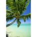 Beautiful View Of Clear Water Palm Tree Deep Blue Sky Poster Print (22 x 34)