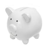 NUOLUX Ceramic Piggy Bank Coin Bank Personalized Money Saving Bank Delicate Nursery Decor