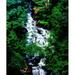 Low angle view of the Wolf Creek Falls Vogel State Park North Georgia Mountains Georgia USA Poster Print by Panoramic Images (36 x 32)