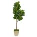 Nearly Natural 5.5ft. Fiddle leaf Fig Artificial Tree in Country White Planter