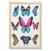 Butterfly Wall Art with Frame Vibrant Butterflies Flying in the Spring Season Nature Colorful Wings Composition Printed Fabric Poster for Bathroom Living Room 23 x 35 Multicolor by Ambesonne