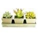 K_Cliffs Faux Cactus Aloe Vera Succulent Ceramic Planter in Brown Wooden Tray 3pcs Set