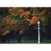 Phoenix Park Dublin Co Dublin Ireland - Lamppost in a Park Poster Print by The Irish Image Collection 18 x 12