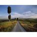 Looking Down Track Lined With Cypress Trees At Dusk To Old Farmhouse On Hill Near Pienza Val orcia Tuscany Italy. Poster Print (36 x 26)