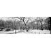 Bare trees during winter in a park Central Park Manhattan New York City New York State USA Poster Print (18 x 6)