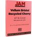 JAM Paper & Envelope Vellum Bristol Cardstock 8.5 x 11 250 per Pack 67lb Cherry