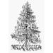 Christmas Tree. /Nline Engraving 19Th Century. Poster Print by (18 x 24)