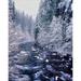 River flowing through snow covered forest North Santiam River Willamette National Forest Lane County Oregon USA Poster Print by Panoramic Images (28 x 22)