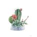 Watercolor Cactus Poster Print by Seven Trees Design Seven Trees Design (18 x 24) # ST805